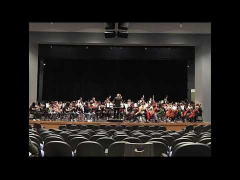 Finale from Symphony No.5 Op.47 by Shostakovich / 2021 TMEA Region 14 High School Orchestra