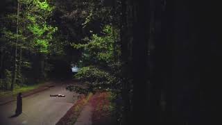 Ross Copperman - Hunger, Damon And Elena Dance ( Season 6 Ep-22 ) #blackheart