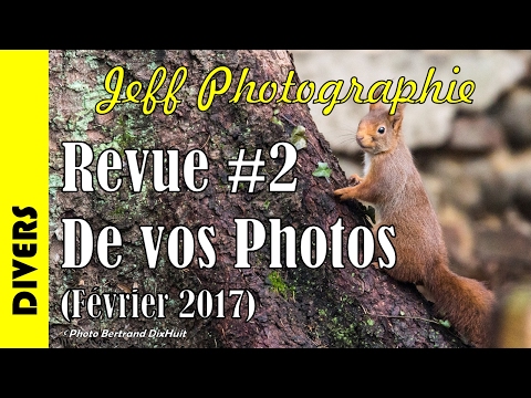 Divers - Revue de vos photos #2 - Thème : Animaux sauvages - Episode n°122