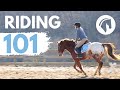 HOW TO RIDE A HORSE (EASY BEGINNERS GUIDE)