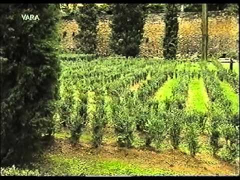 147 (1999) De wereld van Boudewijn Büch - Goethe Achterna 11: De natuur getemd