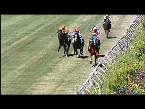 Galoppo 26/06/2020 - 1ª corsa