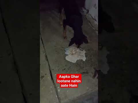 naseeba bhi kya rang laya#shotrs #viral #ytshorts #trending #viral #shotrs #trending #shotrs #feed