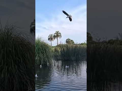 El lugar más lindo de la Laguna de Monte