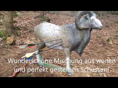 3D Bogen Parcours Test Dorfstetten März 2017