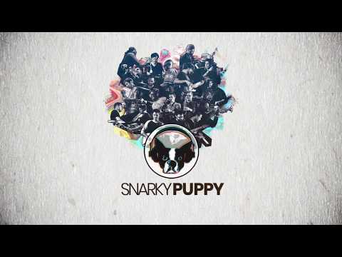 Snarky Puppy w/ Alina Engibaryan at Atomic Cowboy Pavilion  5/19/19