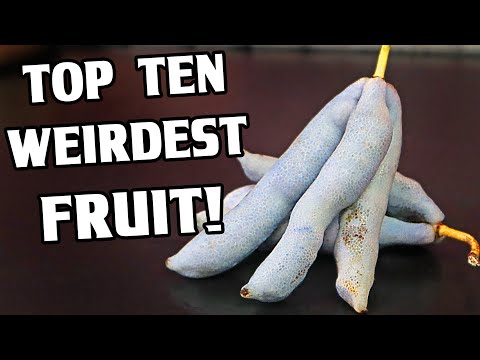 10 OF THE WEIRDEST FRUITS! (I actually tried them!)