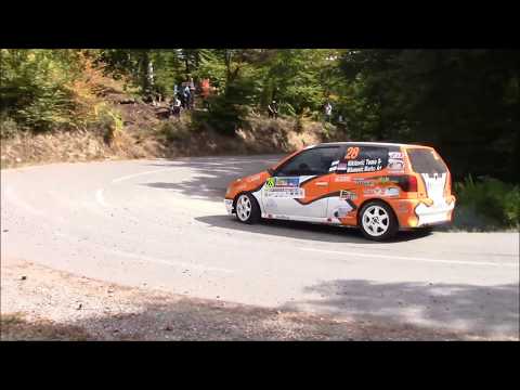 Tomo Nikitovic / Marko Milanovic - 52. Serbia rally 2019 - VW Polo 1.4 A