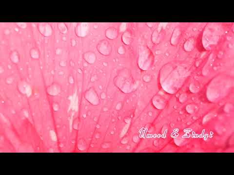 Flower and Nature Landscape