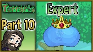 Terraria Expert Mode 1.3.5 Gameplay - Part 10 - Let