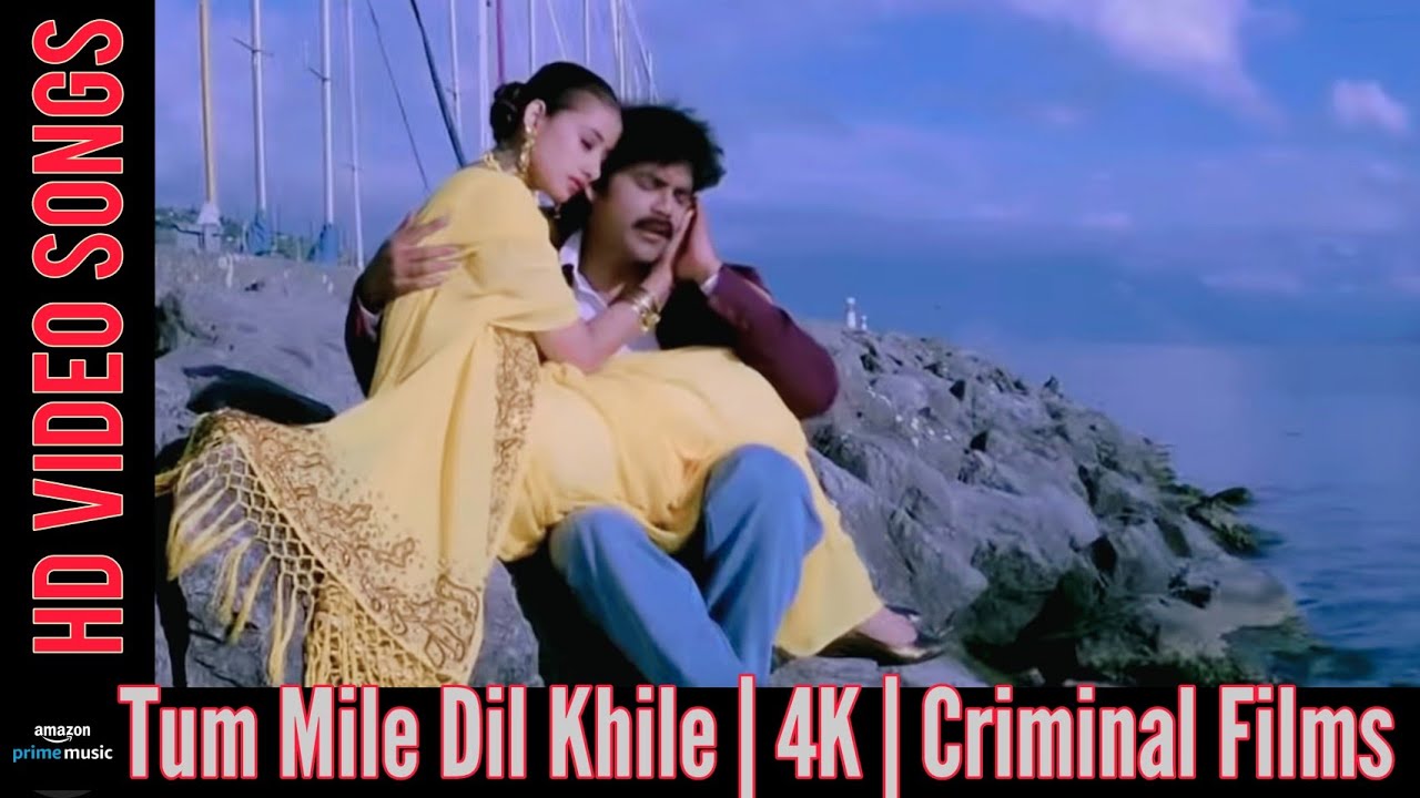 Tu Mile Dil Khile song lyrics