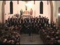 Joseph Haydn - Missa Cellensis - Qui tollis