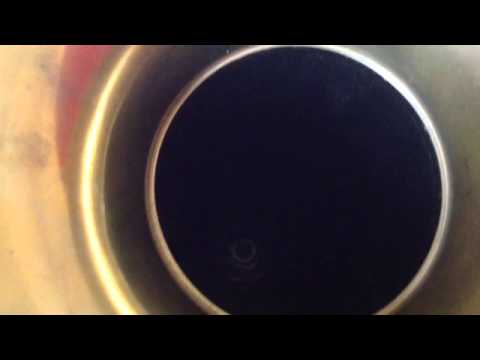 In Monkey Land- Collins and Harlan- 1907