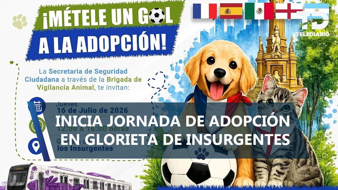 Anuncian jornada de adopción de perros y gatos en la CdMx en el marco del Mundial 2026