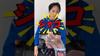 シャコ喰いマゴチに効く！OSPドライブビーバー