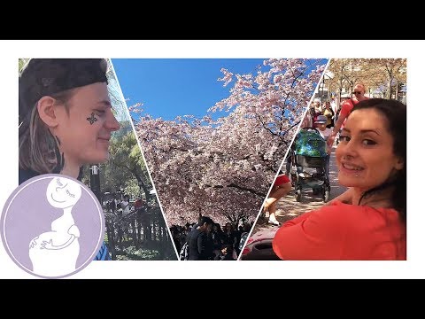 Mysig dag i Kungsträdgården - Liv vecka 29