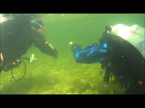 Morzycko Lake - Moryń - West Pomeranian - Poland - sgepGRYF