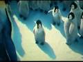 Happy Feet Day At School Brazilian Portuguese