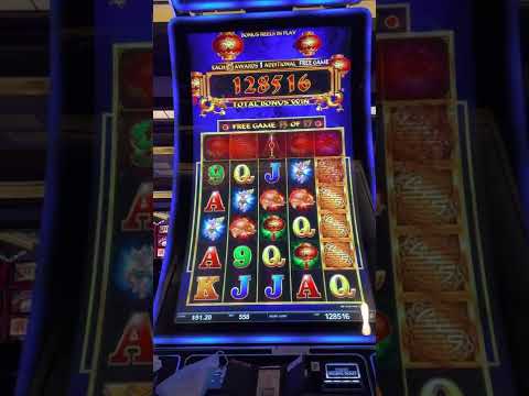 FuDaoLe Riches - cache creek - 12/2/2022