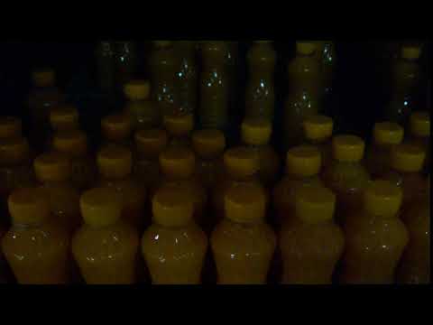00005