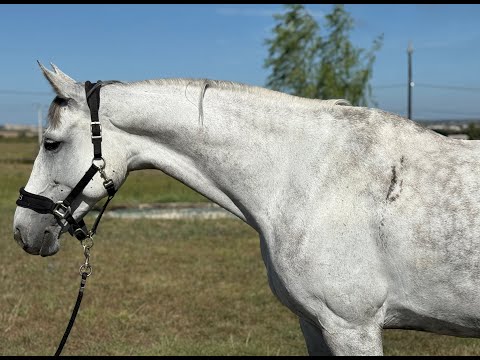 Genie CONTINUUM x INDORADO - Video 12 video thumbnail