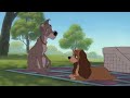 Disney S Lady And The Tramp 0II Scamp S Adventure 2001 An Chapter 016 Independence Day Picnic