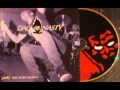 dag nasty - circles