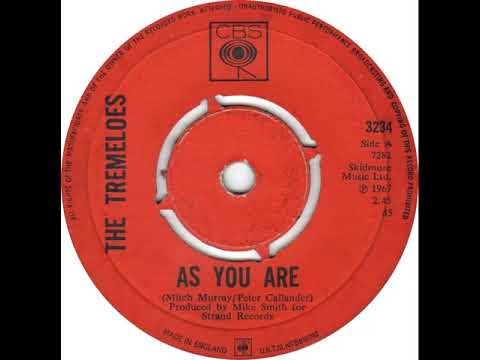 UK New Entry 1968 (16) The Tremeloes - As You Are