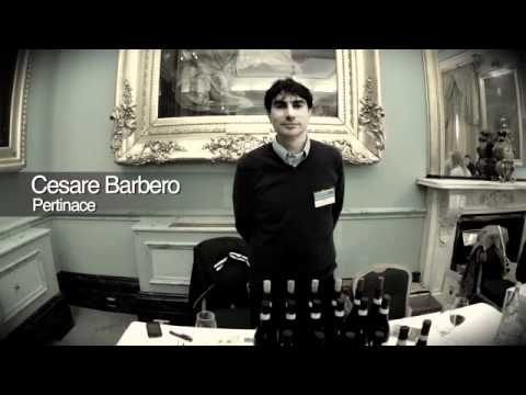 Decanter Highlights from Piedmont 2011