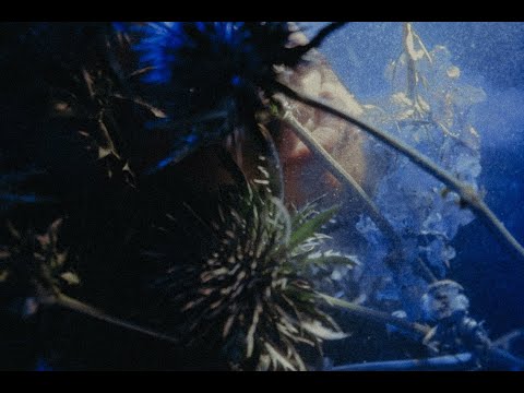 STANOVSKY - Glauben (Official Video)