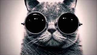 Green Velvet - Flash (Channel X Remix)