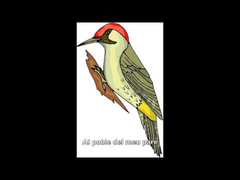 La Guardiola Groga - "Pica Soques"