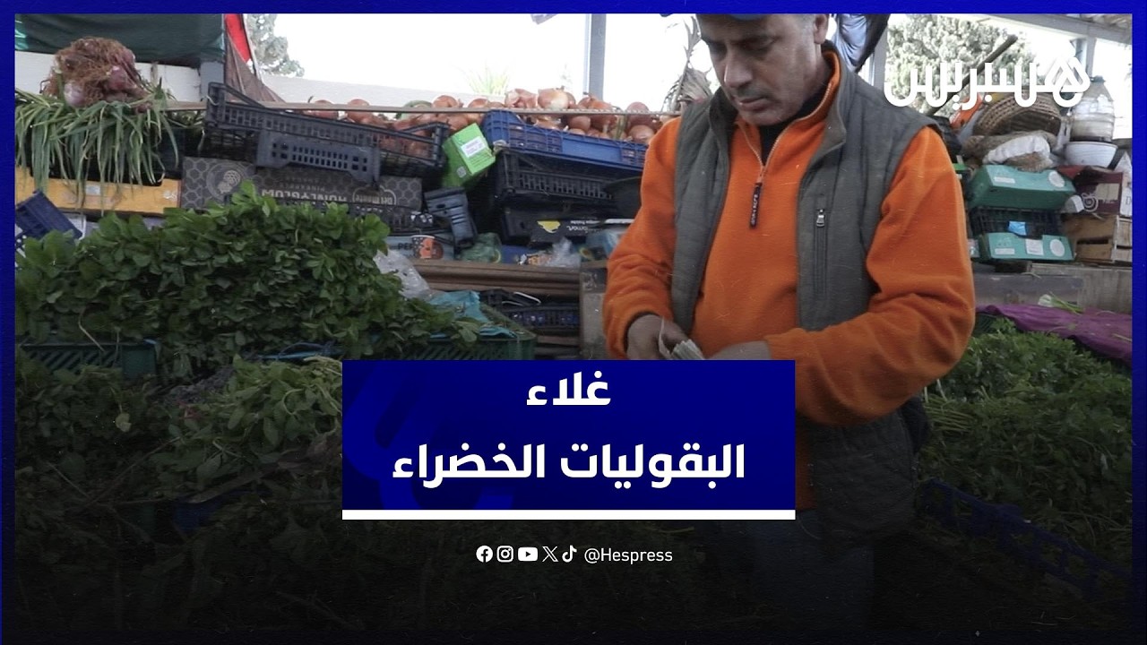 أسعار البقوليات الخضراء.. “المعدنوس” و”الكرافس” يقفزان إلى مستويات غير مسبوقة thumbnail