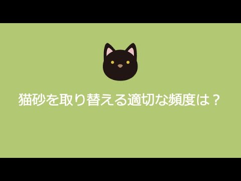 猫砂はどれくらいの頻度で交換する必要がありますか?