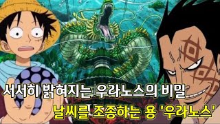 [원피스 분석] 서서히 밝혀지는 우라노스의 비밀 그리고 날씨를 조종하는 용 우라노스