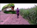 Anaconda 3 Full Movie In Hindi Dubbed Big Anaconda Short Movie