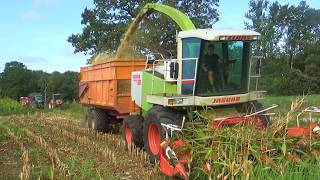 2026 Ter Keurs chopping corn