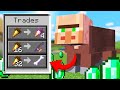 Minecraft But Every Mob Has Villager Trades