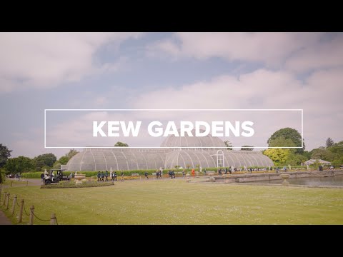 What to see at Kew Gardens I Visit London