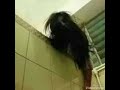 Ngintip Tante Mandi