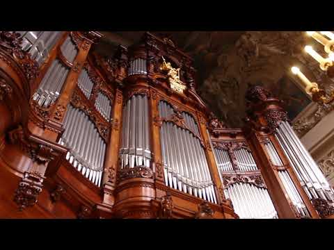 Andreas Sieling performs Johann Sebastian Bach (1685 - 1750) Schafe können sicher weiden BWV 208