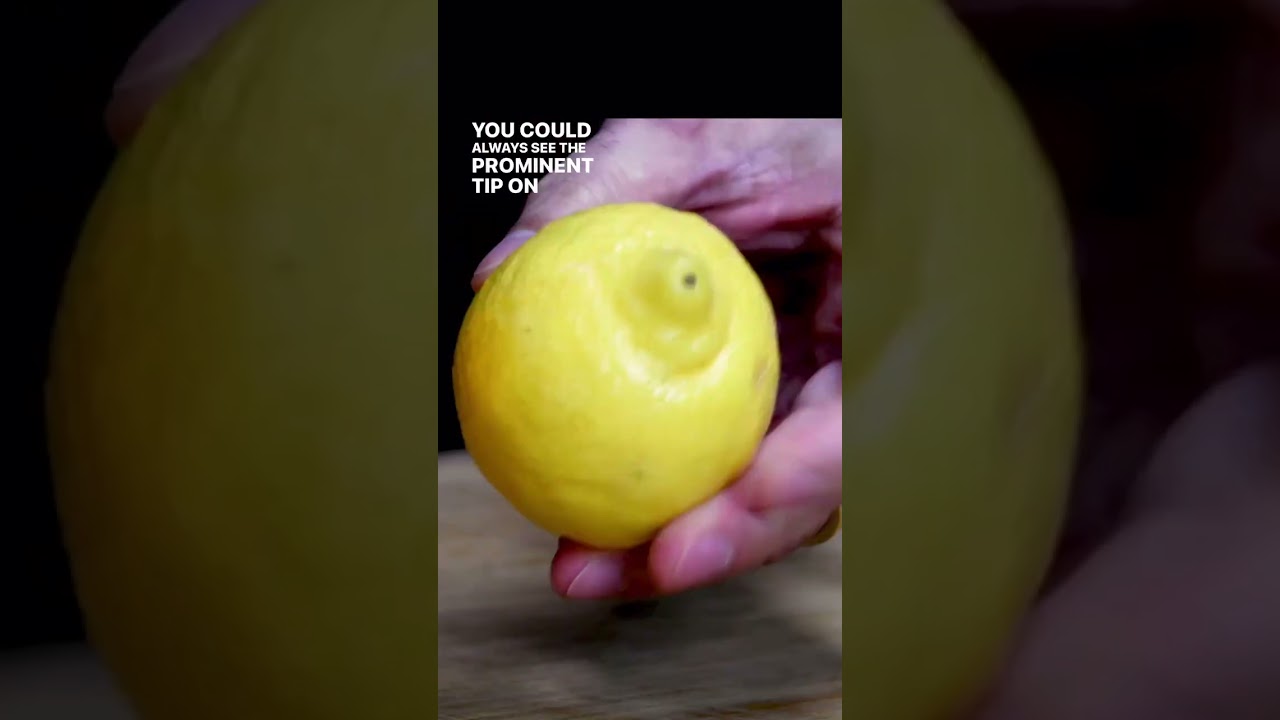 Meyer Lemon vs Regular Lemon 🍋