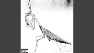 Praying Mantis Freestyle