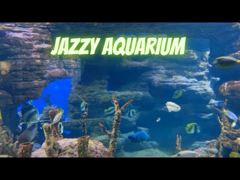 Tropical Fish Serenade: Dive into a Jazz-Filled Aquarium Adventure!