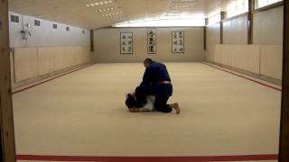 Arm Extraction to Hiza Gatame