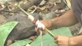 preview picture of video 'Chicken for Lunch On Luang Prabang Hill Trek'