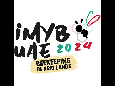 IMYB UAE 2024 OVERVIEW