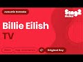 Billie Eilish TV Karaoke Acoustic