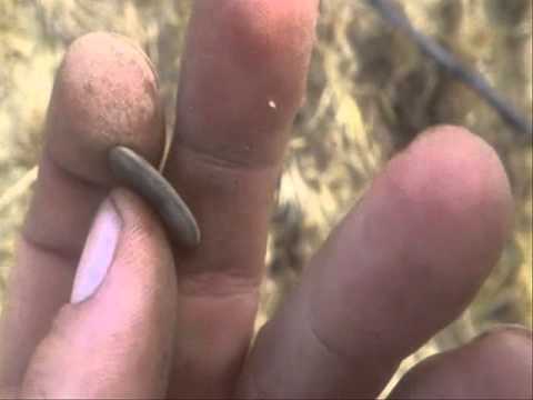 Moje Wykopki Odc  105 (SE02 E5)