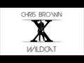 Chris Brown - Wildcat (New Song 2014) 
